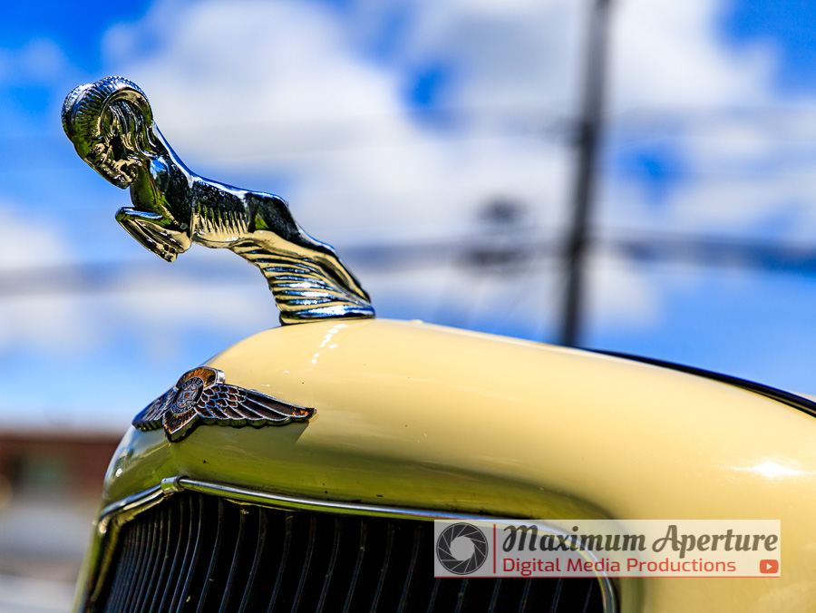 Camera: Canon EOS 6D Mark II - Lens: EF24-105mm f/4L IS II USM - Focal Length: 78 mm